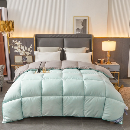هتل Comforter Winter Premium در تمام فصل
